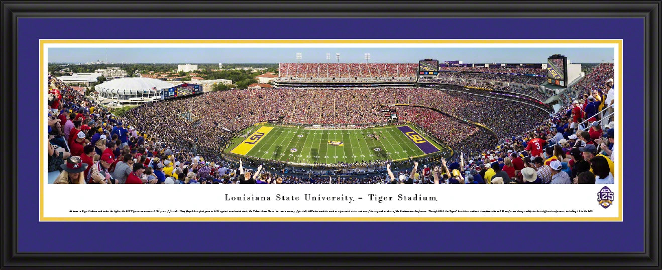 Louisiana State University — LSU Tigers Football - 125th Anniversary — Deluxe Frame - 44" X 18"