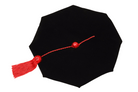 Texas Tech University 8-Sided Doctoral Tam (Cap) with Gold Tassel