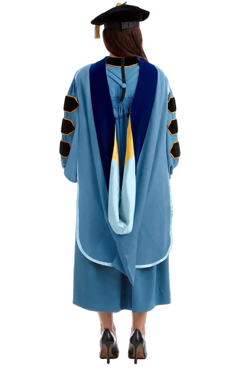 Widener University doctoral hood with royal blue velvet and light blue and gold satin lining