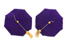 University of Washington 8-Sided Purple Velvet Doctoral Tam (Cap) with Choice of Tassel