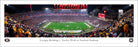 Capgown | University of Georgia - Blakeway Panorama Print