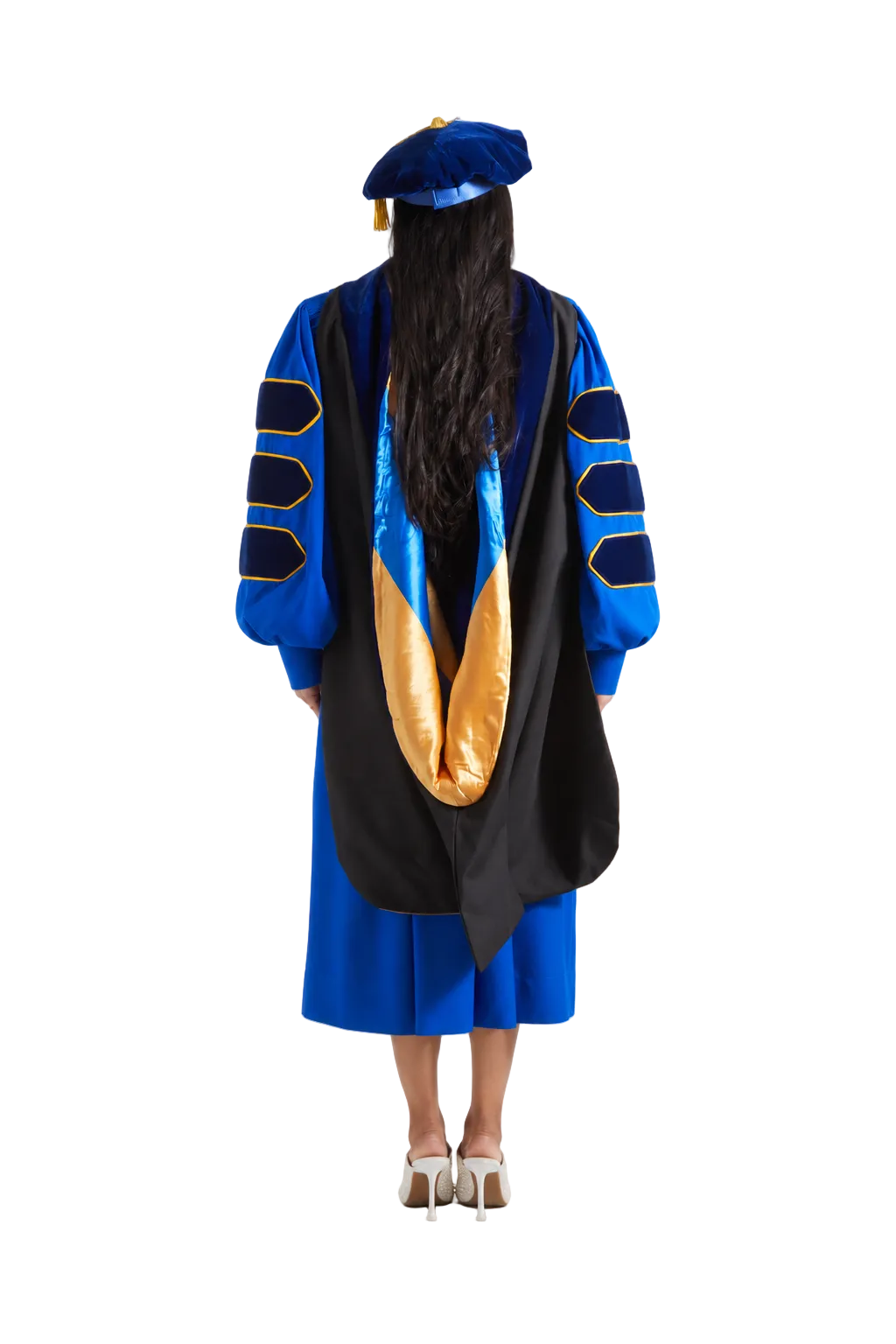 Campana Doctoral para UC Santa Cruz