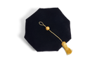 Princeton University 8-Sided Doctoral Tam (Cap) with Gold Tassel