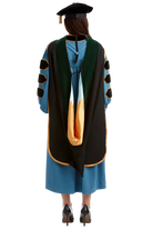 University of Michigan Doctor of Medicine (M.D.) hood with green velvet