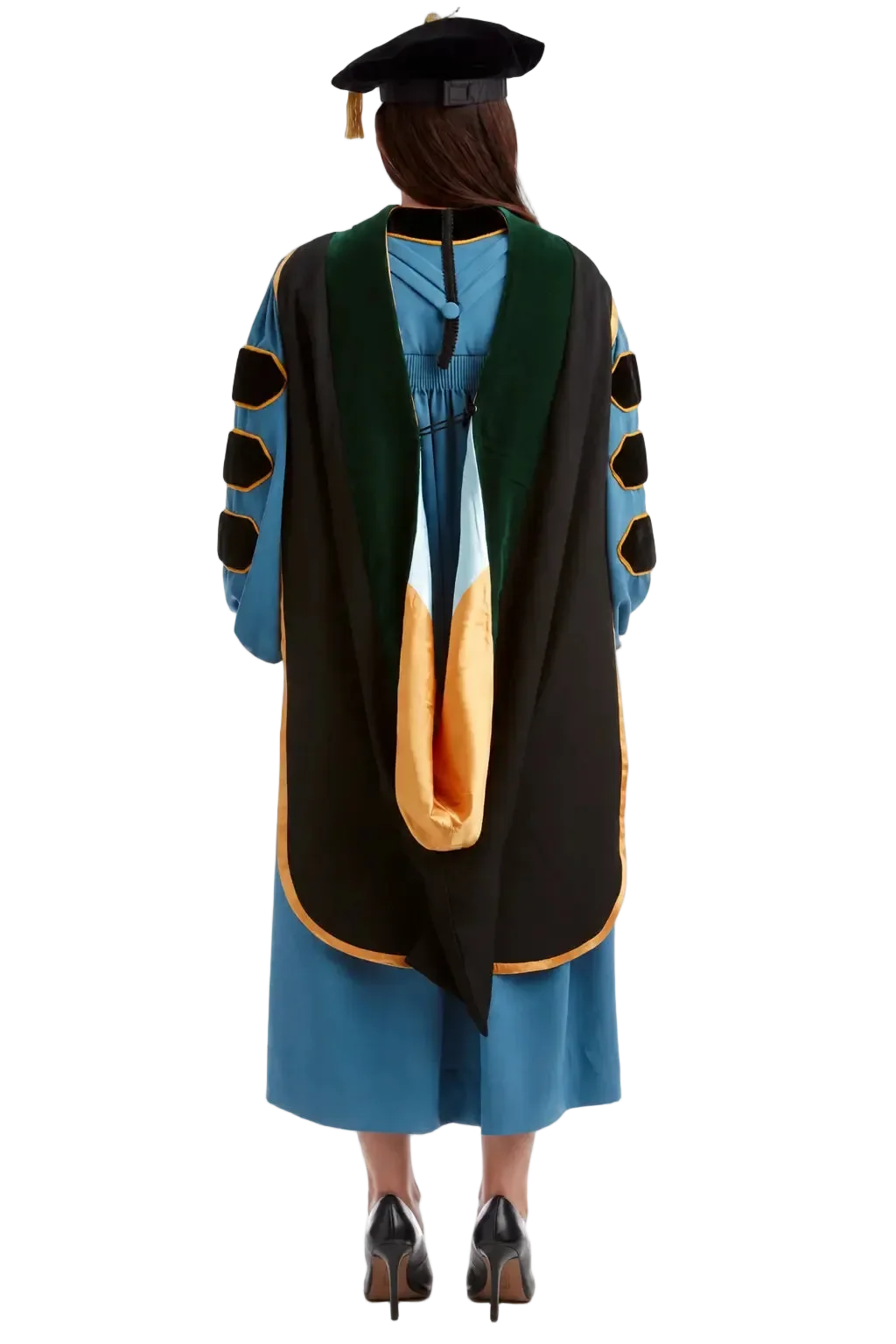 University of Michigan Doctor of Medicine (M.D.) hood with green velvet
