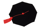 Texas Tech University black eight-sided doctoral tam with gold bullion tassel, crafted in plush velvet for distinguished academic tradition.