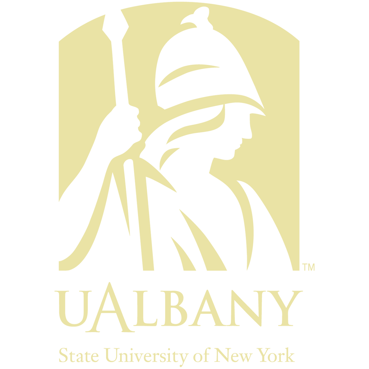 University at Albany gold embossed insignia